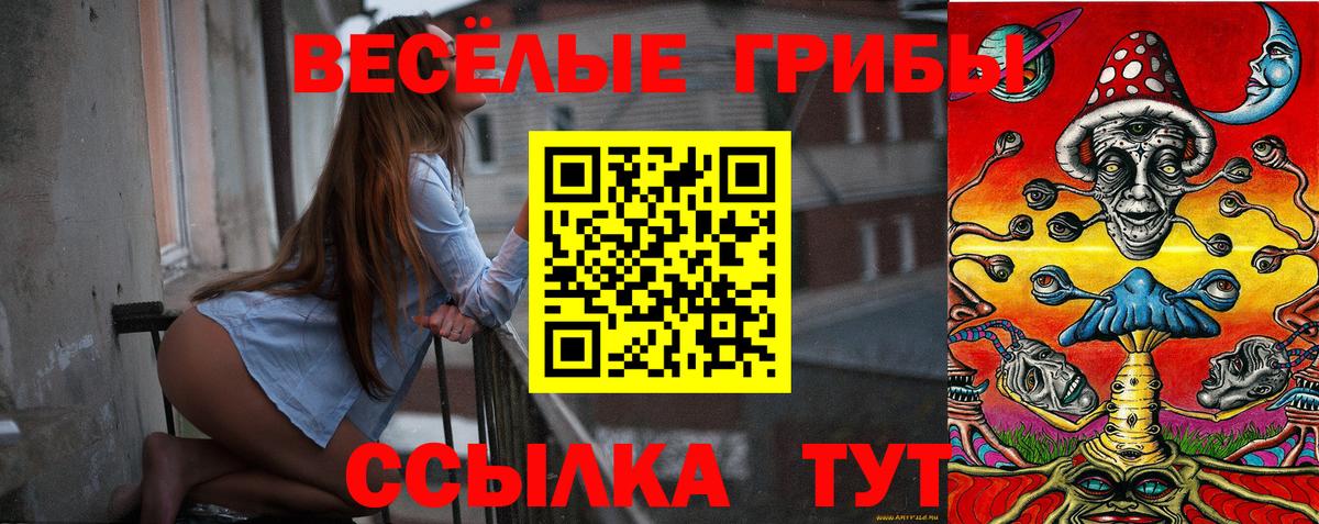 Елизово  Псилоцибиновые грибы ЛСД  наркотики  Вход с VPN 