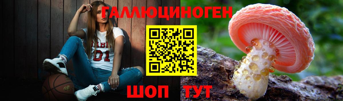 Псилоцибиновые грибы мухоморы Елизово